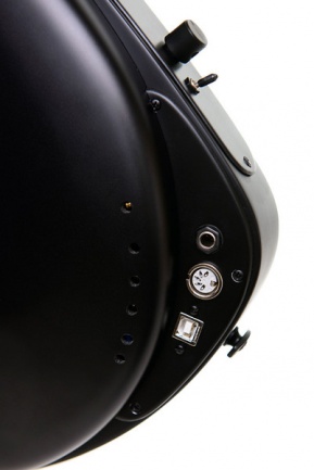 Expressiv Infinity guitar