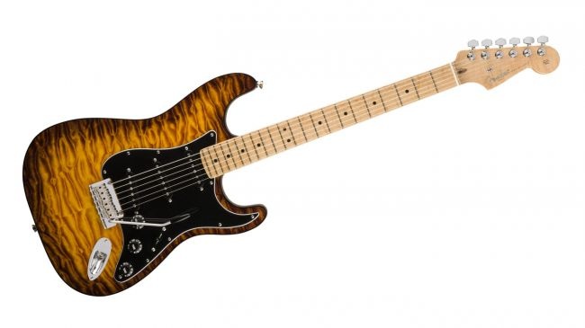 American Professional Mahogany Stratocaster