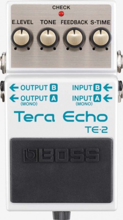 Roland Tera Echo