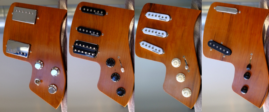 Fern Guitars The Phoenix - módulos