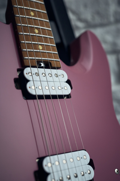 Harley Benton Fusion-T HH HT: