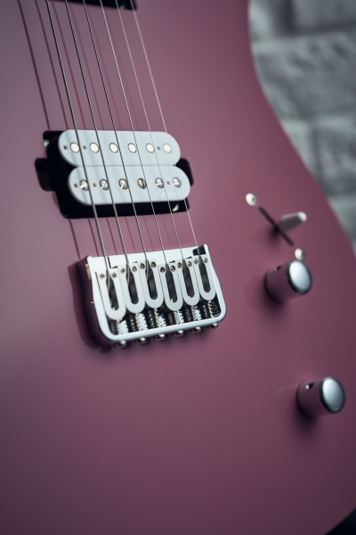 Harley Benton Fusion-T HH HT: