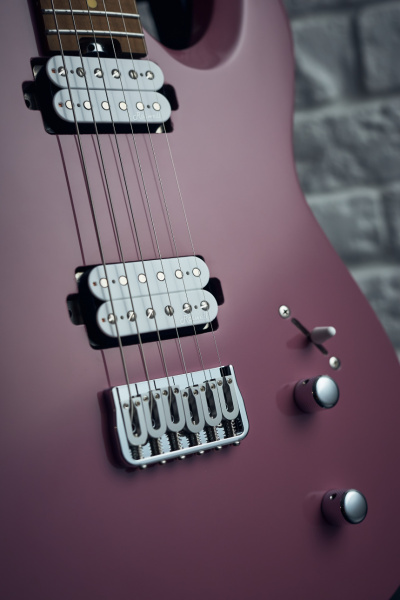 Harley Benton Fusion-T HH HT: