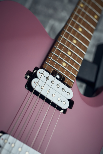 Harley Benton Fusion-T HH HT: