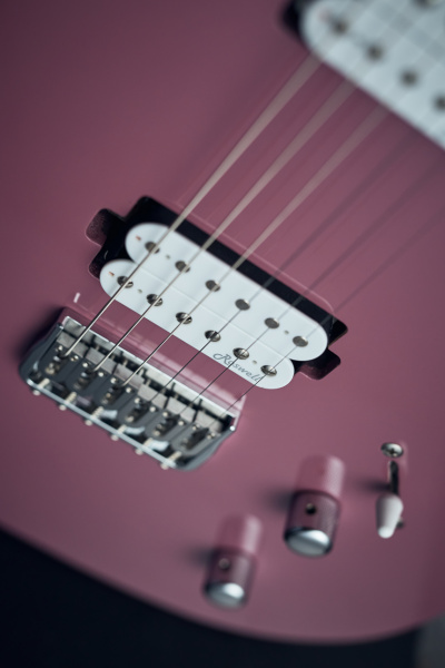 Harley Benton Fusion-T HH HT: