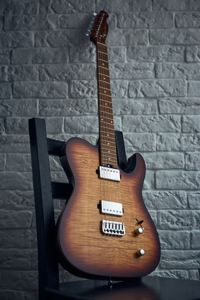 Harley Benton Fusion-T HH HT: