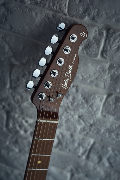 Harley Benton Fusion-T HH HT: