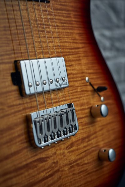 Harley Benton Fusion-T HH HT: