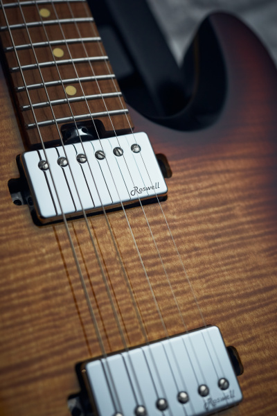 Harley Benton Fusion-T HH HT: