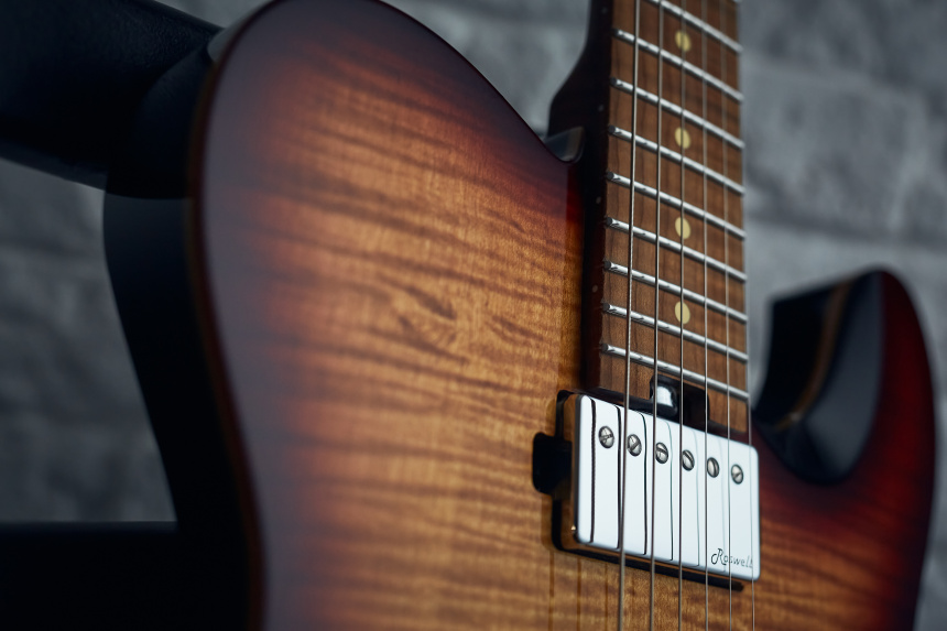 Harley Benton Fusion-T HH HT: