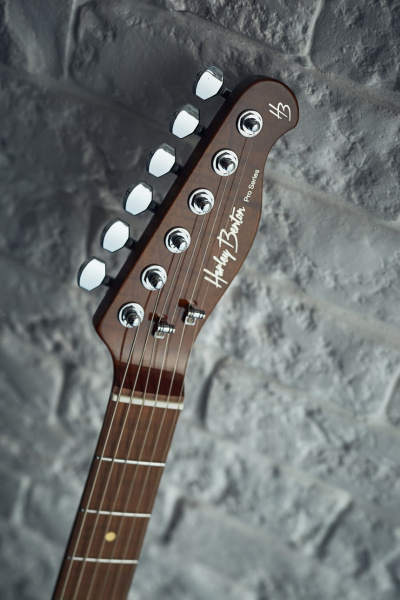 Harley Benton Fusion-T HH HT: