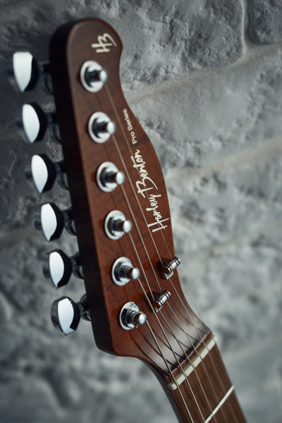 Harley Benton Fusion-T HH HT: