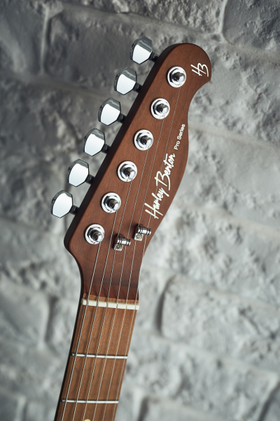 Harley Benton Fusion-T HH HT: