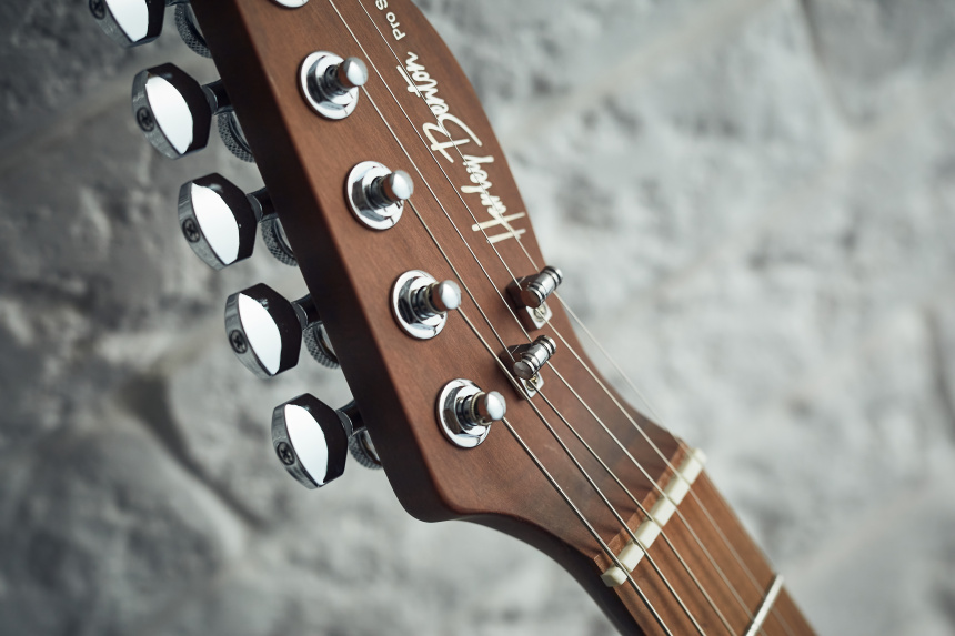 Harley Benton Fusion-T HH HT: