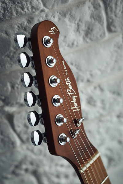 Harley Benton Fusion-T HH HT: