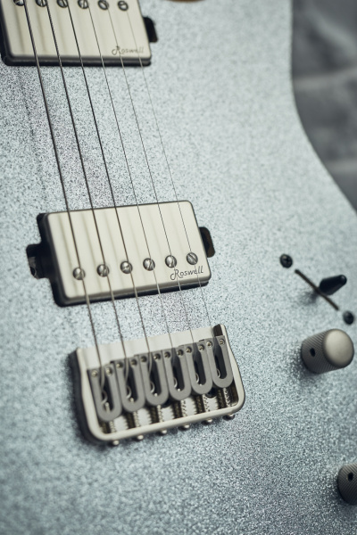 Harley Benton Fusion-T HH HT: