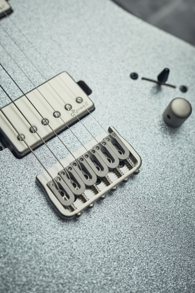 Harley Benton Fusion-T HH HT: