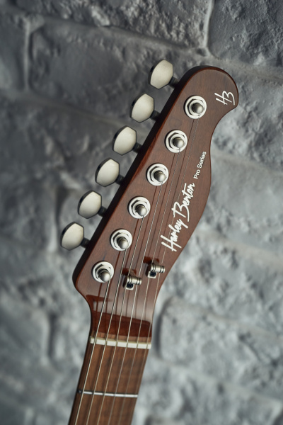 Harley Benton Fusion-T HH HT: