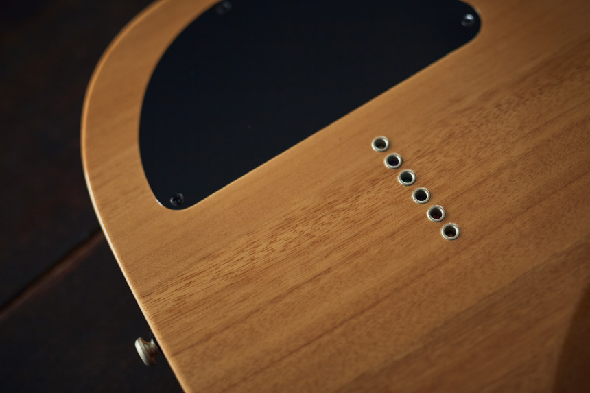 Harley Benton Fusion-T HH HT: