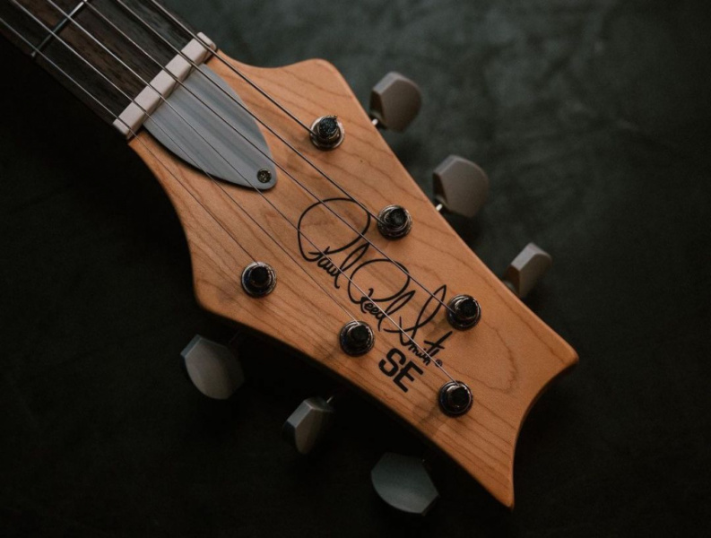 Pala de la PRS SE Silver Sky