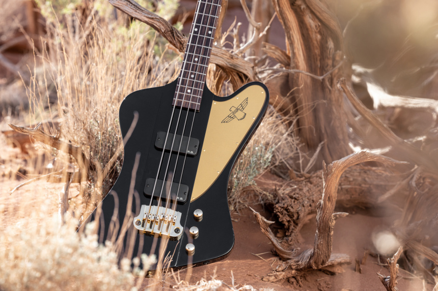 Gibson Rex Brown Signature Thunderbird en el campo