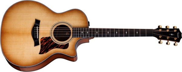 Taylor 314ce Ltd 50th