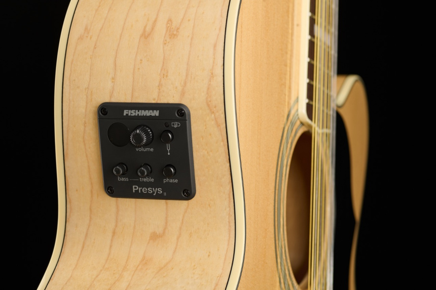 Harley Benton Custom Line King-12 CE NT