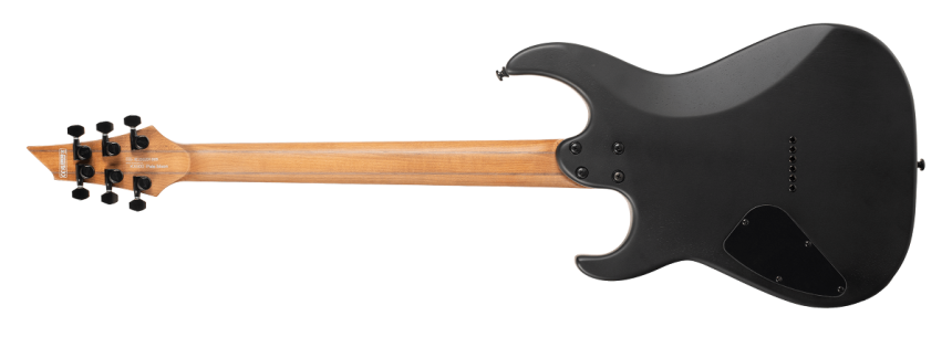 Trasera de la Cort KX500 Pale Moon