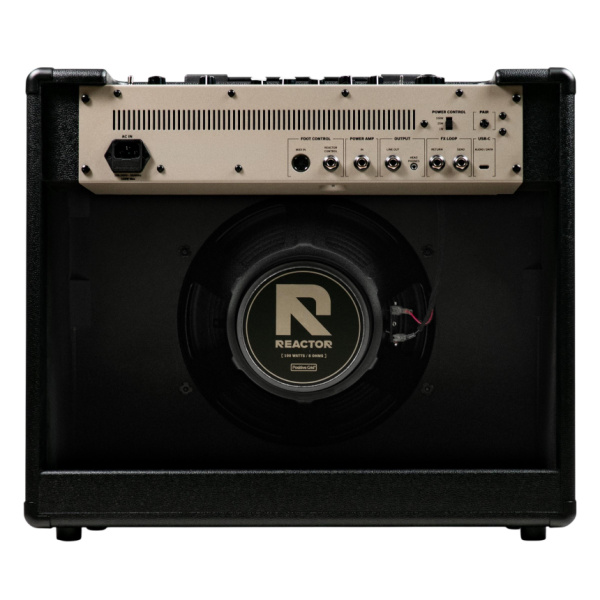 Trasera del Positive Grid Reactor 100