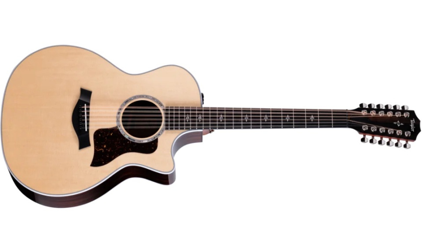 Taylor 454ce