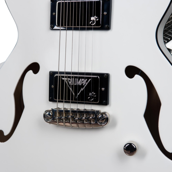 Puente y pastillas de la Godin Rik Emmett Premiere