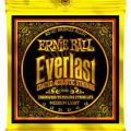 Nuevas cuerdas para acústica Ernie Ball Everlast