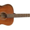 Tanglewood presenta las nuevas Premier Series