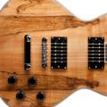 Washburn presenta la WIDLXSPLTD Idol