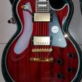 Tokai LC 200