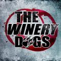 Mike Portnoy, Richie Kotzen y Billy Sheehan forman The Winery Dogs