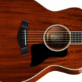 Nuevas Taylor 500 series de caoba