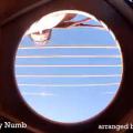Thomas Leeb  Comfortably Numb