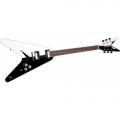 Review DEAN Michael Shenker standard