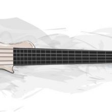 Travel Bass