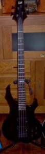 LTD ESP F104.JPG