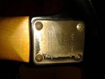 2012-08-09 07.48.26.jpg