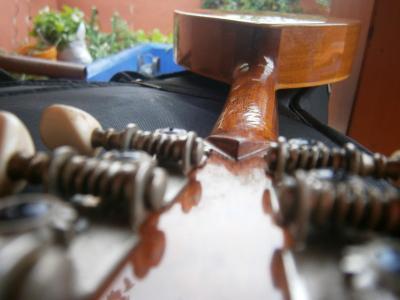 PB220331 [800x600].jpg