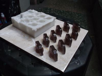 gallinitas recién nacidas.jpg