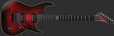 washburn parallaxe PXS10FR.jpg