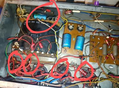 IMG_20241007_130828 (1).jpg