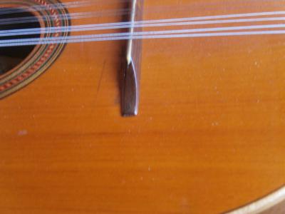 PB220327 [800x600].jpg