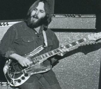 Beach boys Fender transparente.jpg