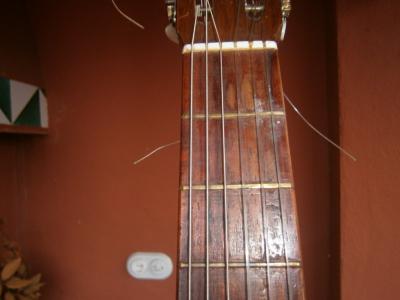 PB220299 [800x600].jpg