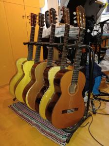 Guitarrero con 5 guitarras_n.jpg